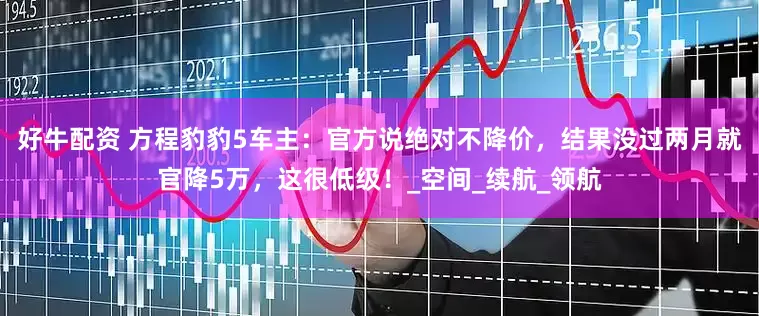 好牛配资 方程豹豹5车主：官方说绝对不降价，结果没过两月就官降5万，这很低级！_空间_续航_领航