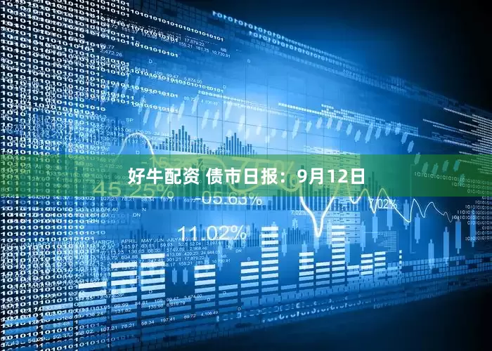 好牛配资 债市日报：9月12日